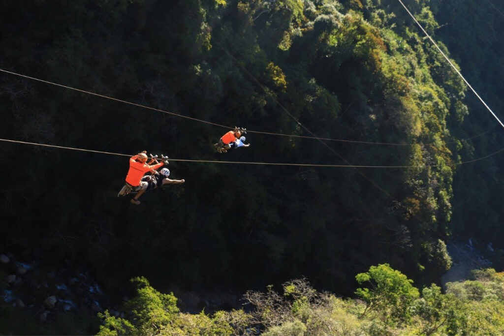 axoloti tours canopy puerto vallarta